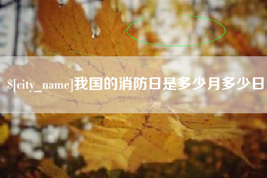定西我国的消防日是多少月多少日