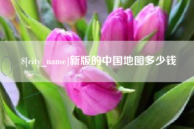 定西新版的中国地图多少钱