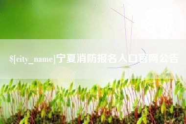定西宁夏消防报名入口官网公告