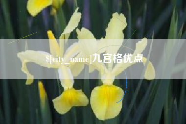 定西九宫格优点
