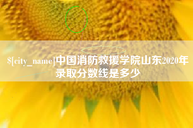 定西中国消防救援学院山东2020年录取分数线是多少