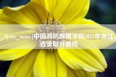 定西中国消防救援学院2021年浙江省录取分数线