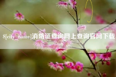 定西消防证查询网上查询官网下载