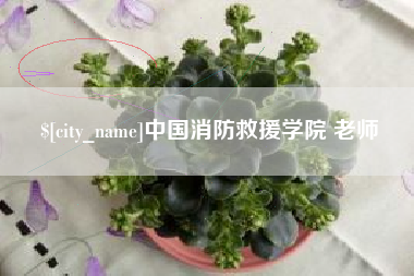 定西中国消防救援学院 老师