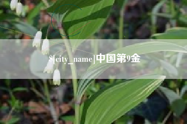 定西中国第9金