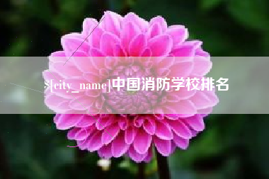 定西中国消防学校排名