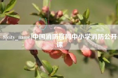 定西中国消防官网中小学消防公开课
