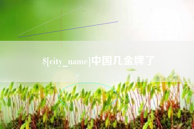 定西中国几金牌了