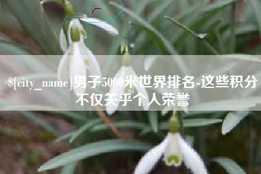 定西男子5000米世界排名-这些积分不仅关乎个人荣誉