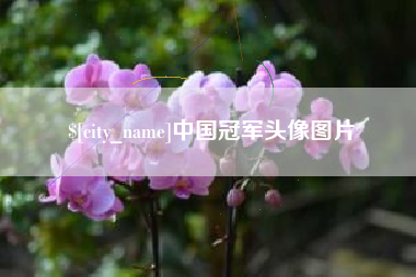 定西中国冠军头像图片