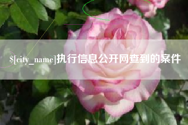 定西执行信息公开网查到的案件