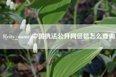 定西中国执法公开网征信怎么查询