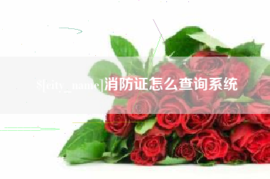 定西消防证怎么查询系统