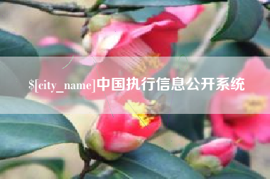 定西中国执行信息公开系统