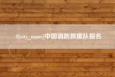 定西中国消防救援队报名