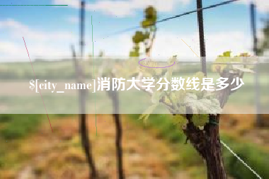 定西消防大学分数线是多少