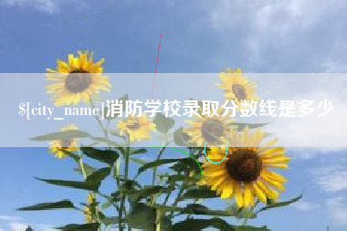 定西消防学校录取分数线是多少