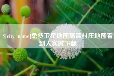 定西免费卫星地图高清村庄地图看到人实时下载