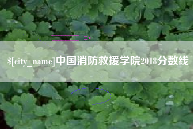 定西中国消防救援学院2018分数线