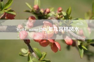 定西2021年九宫格风水