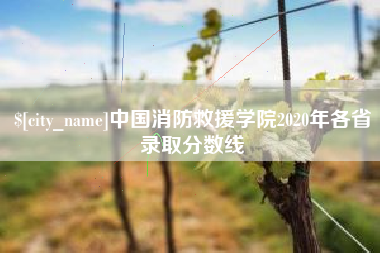 定西中国消防救援学院2020年各省录取分数线