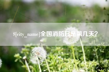 定西全国消防日是第几天？