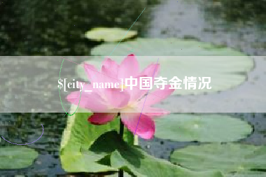 定西中国夺金情况