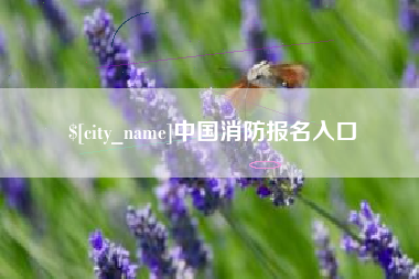 定西中国消防报名入口