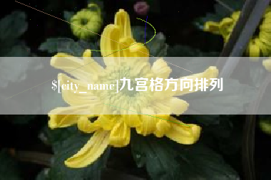 定西九宫格方向排列