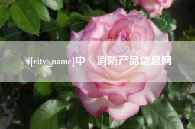 定西中囯消防产品信息网