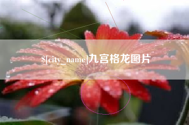 定西九宫格龙图片