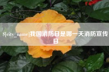 定西我国消防日是哪一天消防宣传日