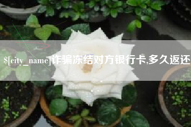 定西诈骗冻结对方银行卡,多久返还