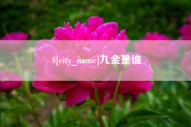 定西九金是谁