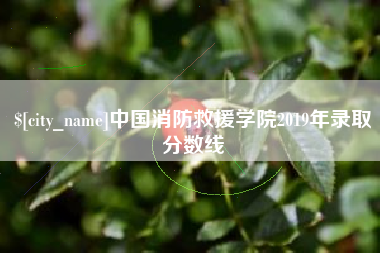 定西中国消防救援学院2019年录取分数线