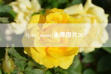 定西金牌图片2021