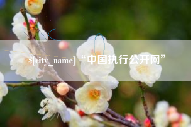定西“中国执行公开网”