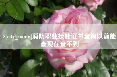 定西消防职业技能证书查询以前能查现在查不到