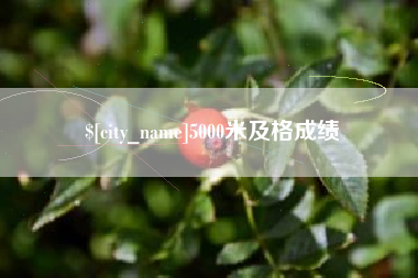 定西5000米及格成绩