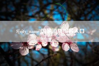 定西国家消防报名入口