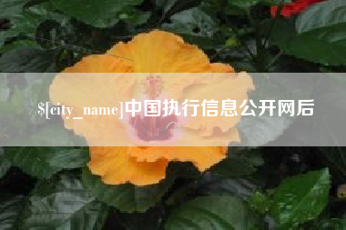 定西中国执行信息公开网后
