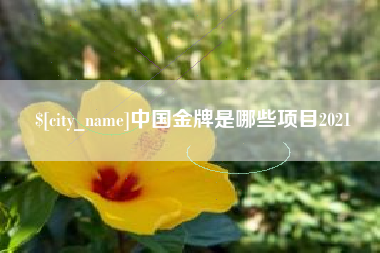 定西中国金牌是哪些项目2021