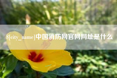 定西中国消防网官网网址是什么