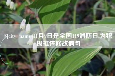 定西11月9日是全国119消防日,为积极推进修改病句