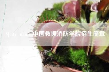 定西中国救援消防学院招生简章