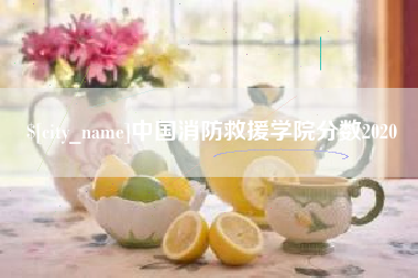 定西中国消防救援学院分数2020