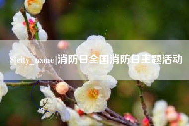 定西消防日全国消防日主题活动