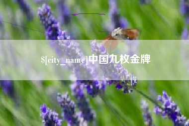 定西中国九枚金牌