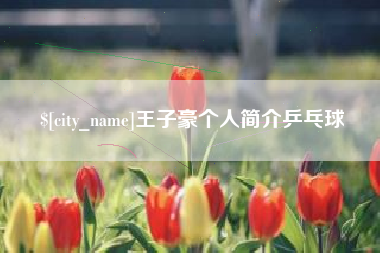 定西王子豪个人简介乒乓球