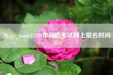 定西2020年消防考试网上报名时间
